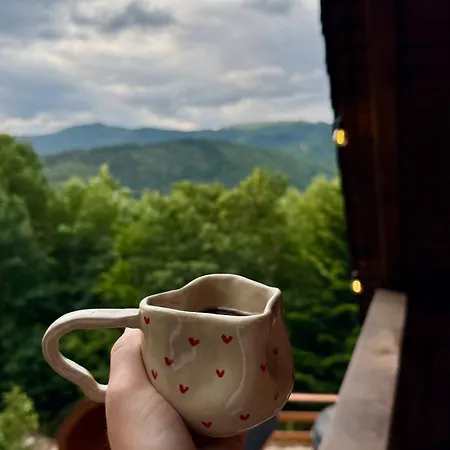 فيلة Willa Lesna