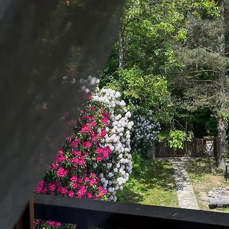 Villa Lesna *